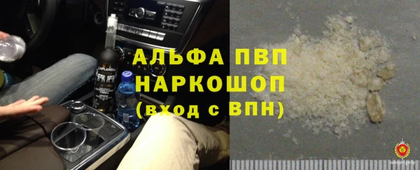 сатива Кинешма