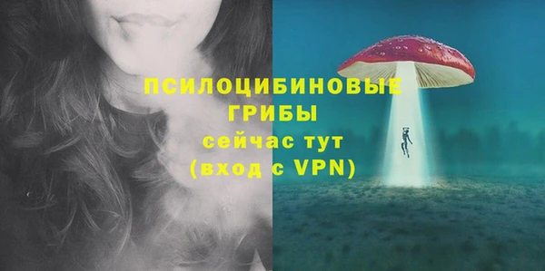 крисы Карталы