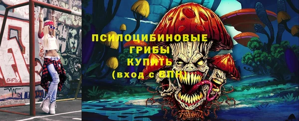 шишки Киреевск