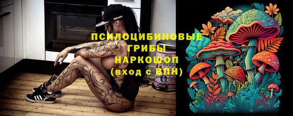 шишки Киреевск