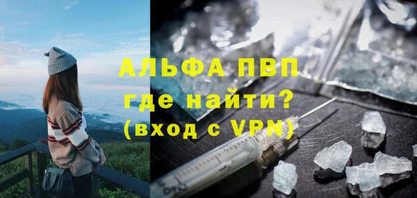 сатива Кинешма
